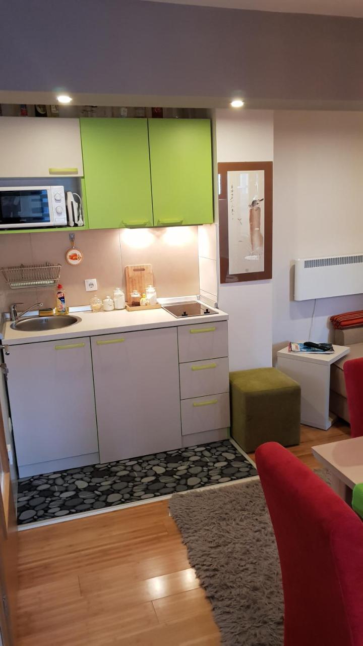 Apartman Konak 23-4 Zlatibor Bagian luar foto